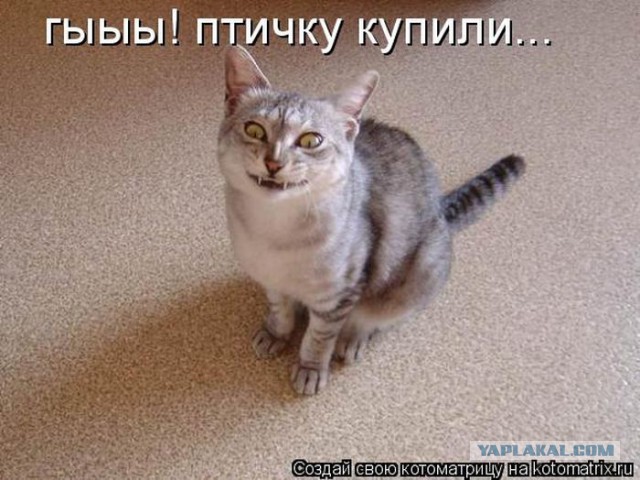Сборник "баянов" со всего Интернета - 2