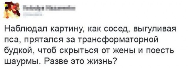 Картинки  из сети