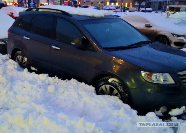 Властвуй, доминируй, унижай!