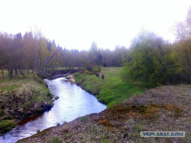 Как мы День Победы  отмечаем...