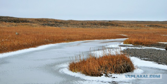 Красивая Россия