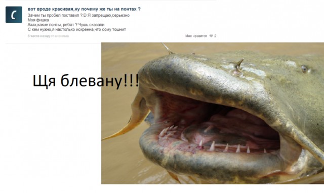 Грамотеи из интернетов умеют сочинять новые слова, даже не задумываясь