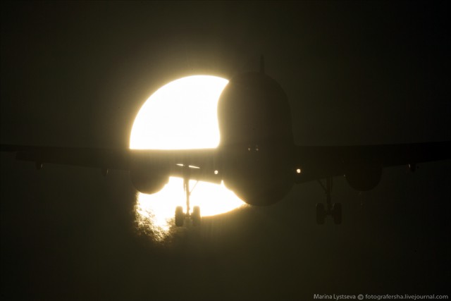 Подборка интересных и веселых фото