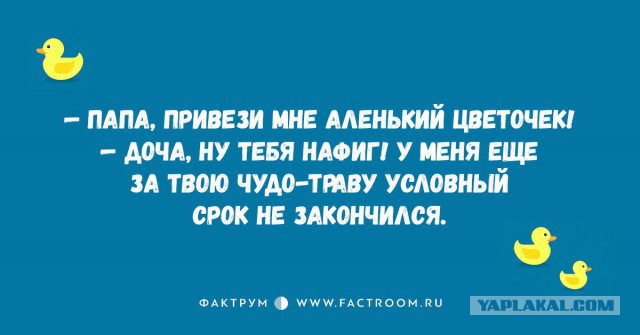 Небольшая подборка забавных картинок