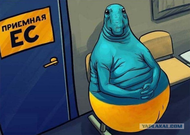Воскресная политота!