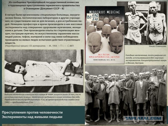 Воинствующим идиотам посвящается.