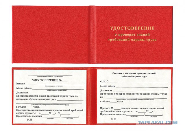 "СНИЛС мне предъяви!"