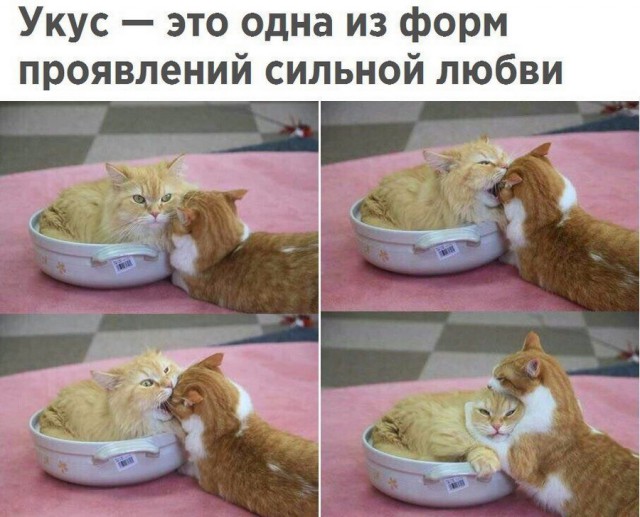 Подборка интересных и веселых картинок