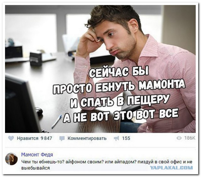 Смешные комментарии из социальных сетей 20.10.2017