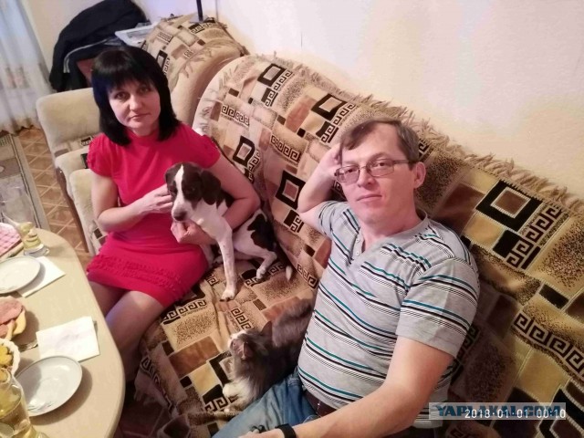 Ну, понеслась! Поздравления с Новым Годом по всей географии ЯПлакалъ!
