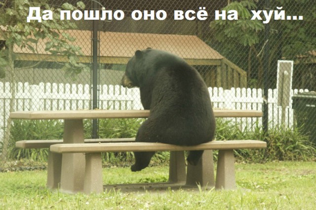 Вероятность отцовства равна 0