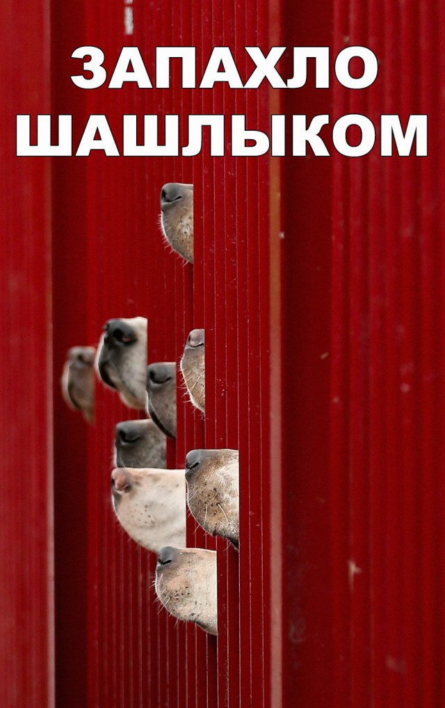 Нестандартный юмор