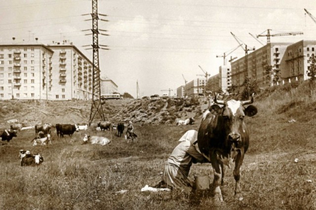 Интересные и редкие ретро-фотографии