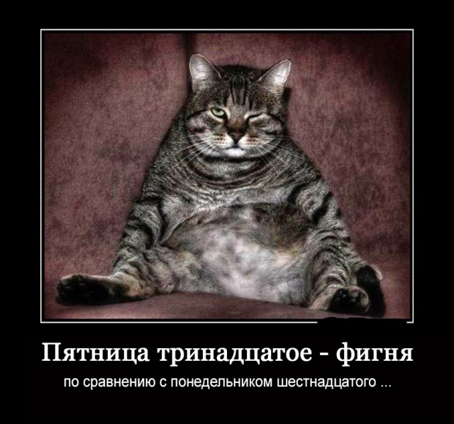 25 картинок в эту чёрную пятницу