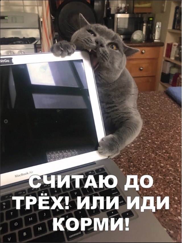 Нестандартный юмор