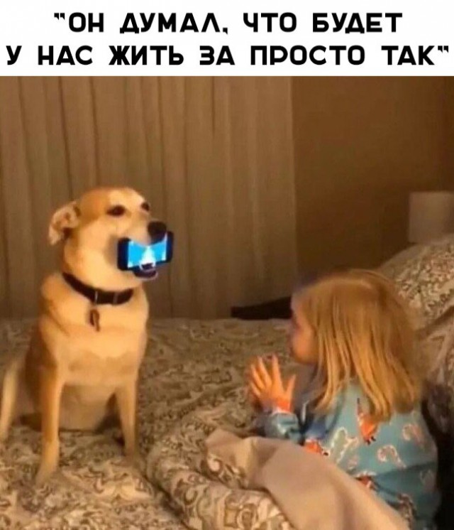 Нестандартный юмор