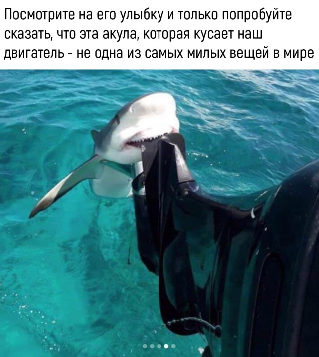Подборка интересных и веселых картинок