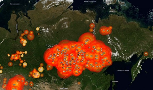 Эксперты предсказали глобальную экологическую катастрофу из-за лесных пожаров в Сибири