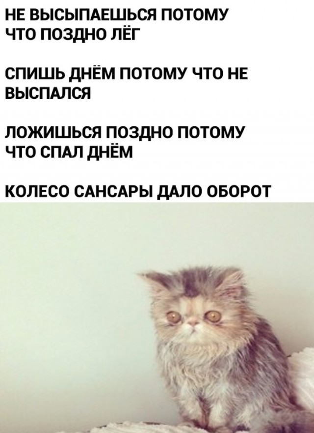 Немного картинок для настроения 10.02.20