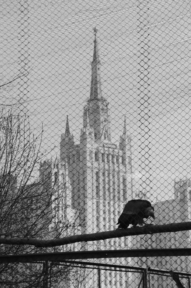 Плёночная фотография. Хобби
