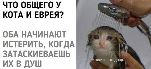 Ой-Вэй