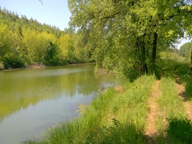 Прогулка по Волге
