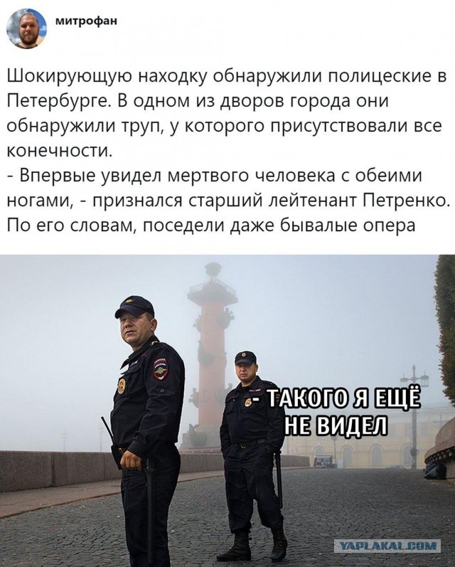 Сколько стоит надоевшая жена
