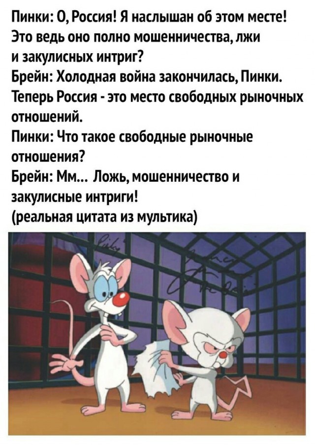 Пинки и брейн фото картинки