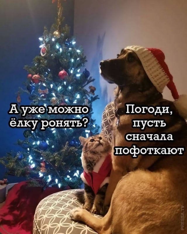 Картинки и мемы для настроения 028