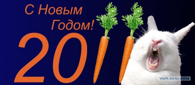 C Новым 2011 Годом!