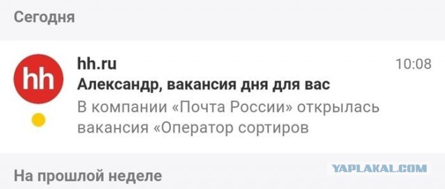 Свинегрет: картинки, надписи и прочее на 20.02.21 или №30