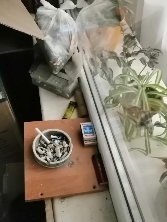 Ежегодные "подснежники"