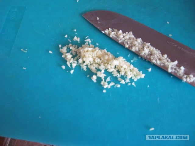 Капуста International, Наступила осень, отцвела капуста...