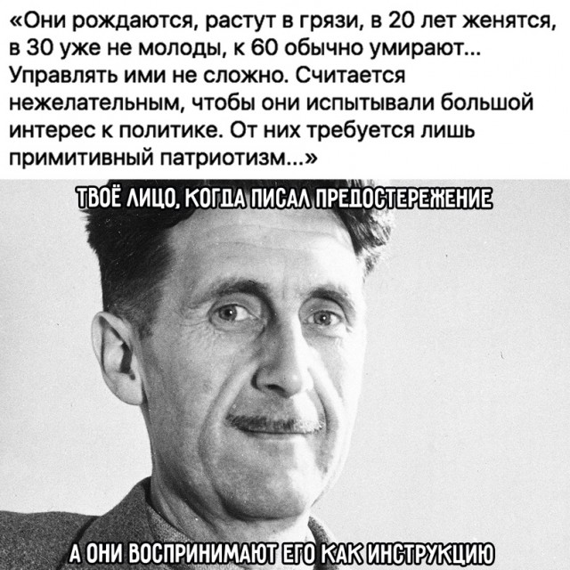 Весёлый полтишок 31.07