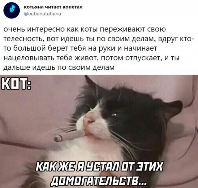 Картинки и мемы для настроения 17.08.2021