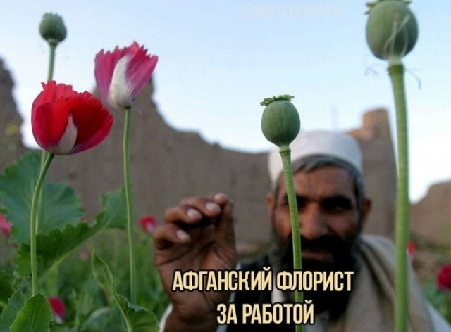 Картинки и мемы