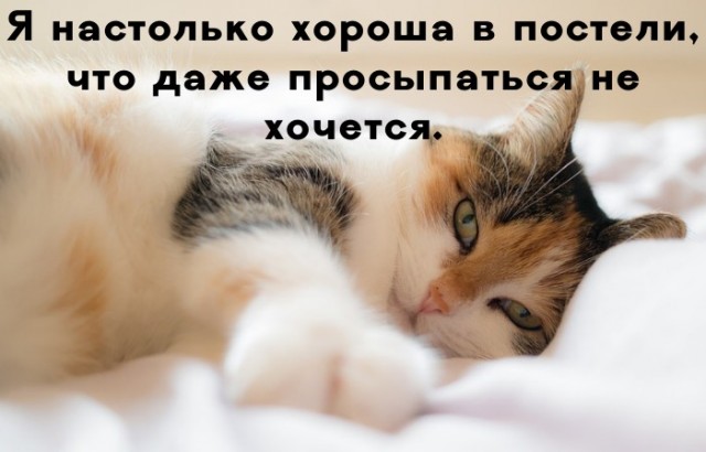 25 пикч для настроения