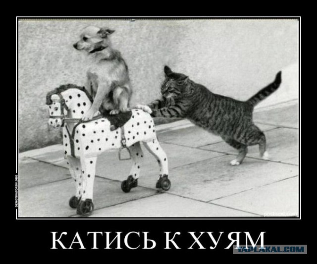 "Гнить — это про екатеринбуржцев"
