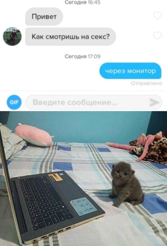 Картинки 20.05.22.