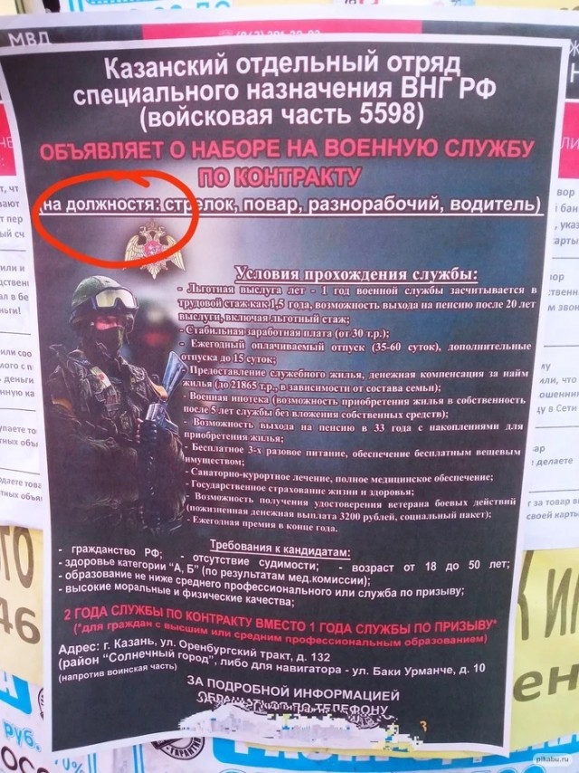 17005408.jpg