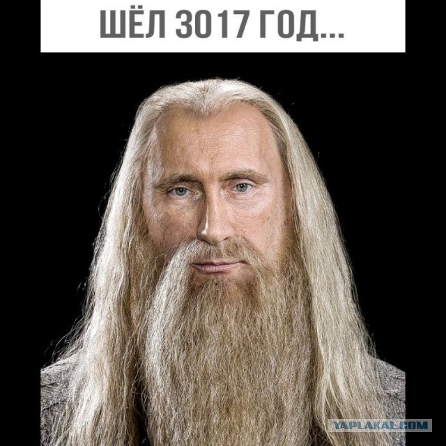 Ученые разработали технологию, способную реанимировать органы свиней спустя час после смерти