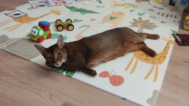 Маняня