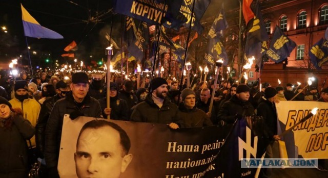 Люди. Простите. Но мы - ОЗВЕРЕЛИ!