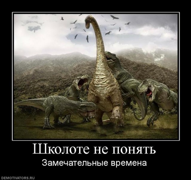 Школоте не понять