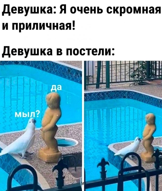 Юмор в картинках и без 20.01.2023