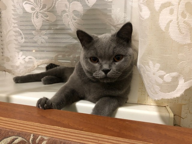 Совпало же? В котовторник