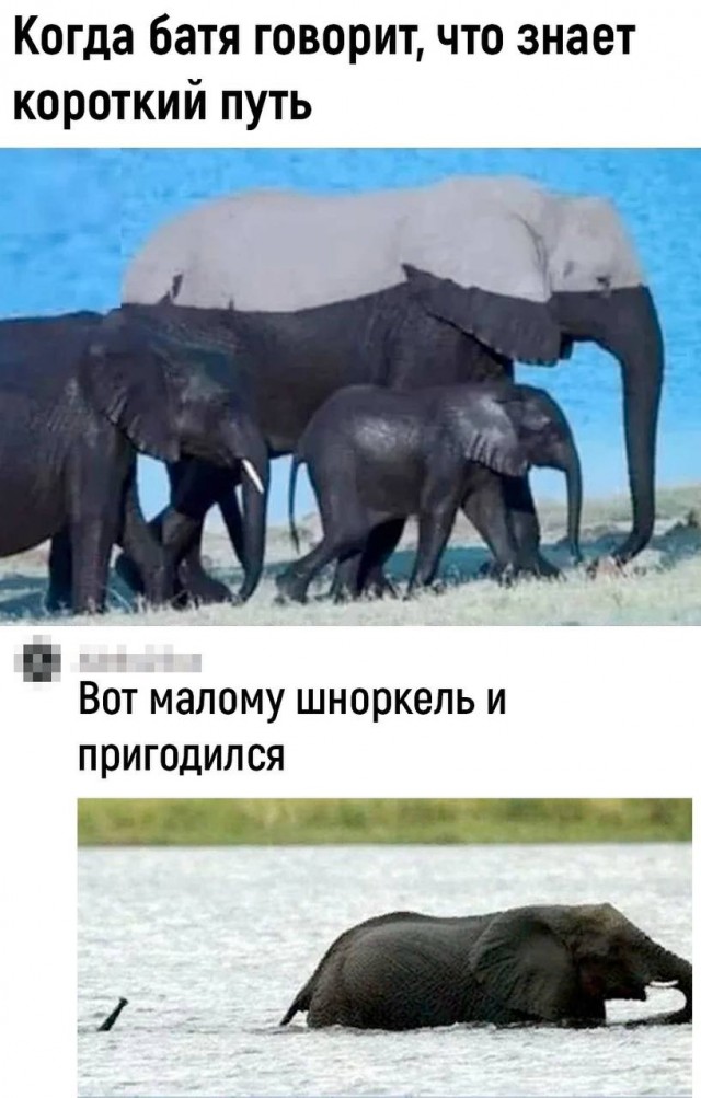 Картинок разной степени @анутости псто.
