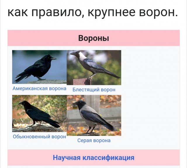 Небольшой ремонт и обновление старенькой ИЖ-38.