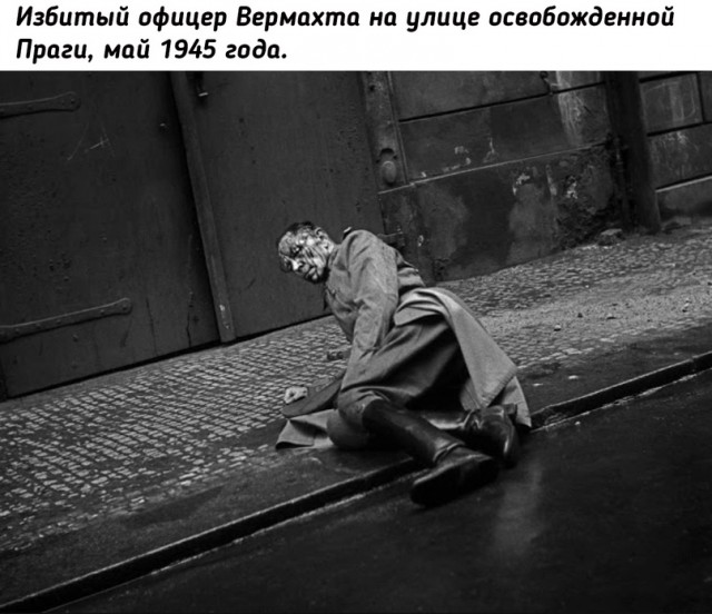 Небольшая подборка исторических фото (15.08)