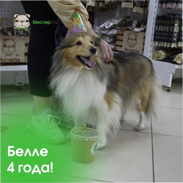 День рождения в собакочетверг